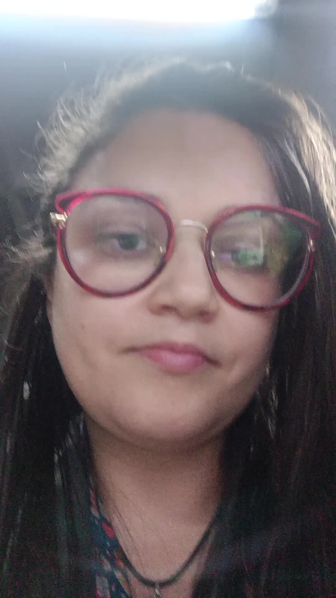 Digitador 