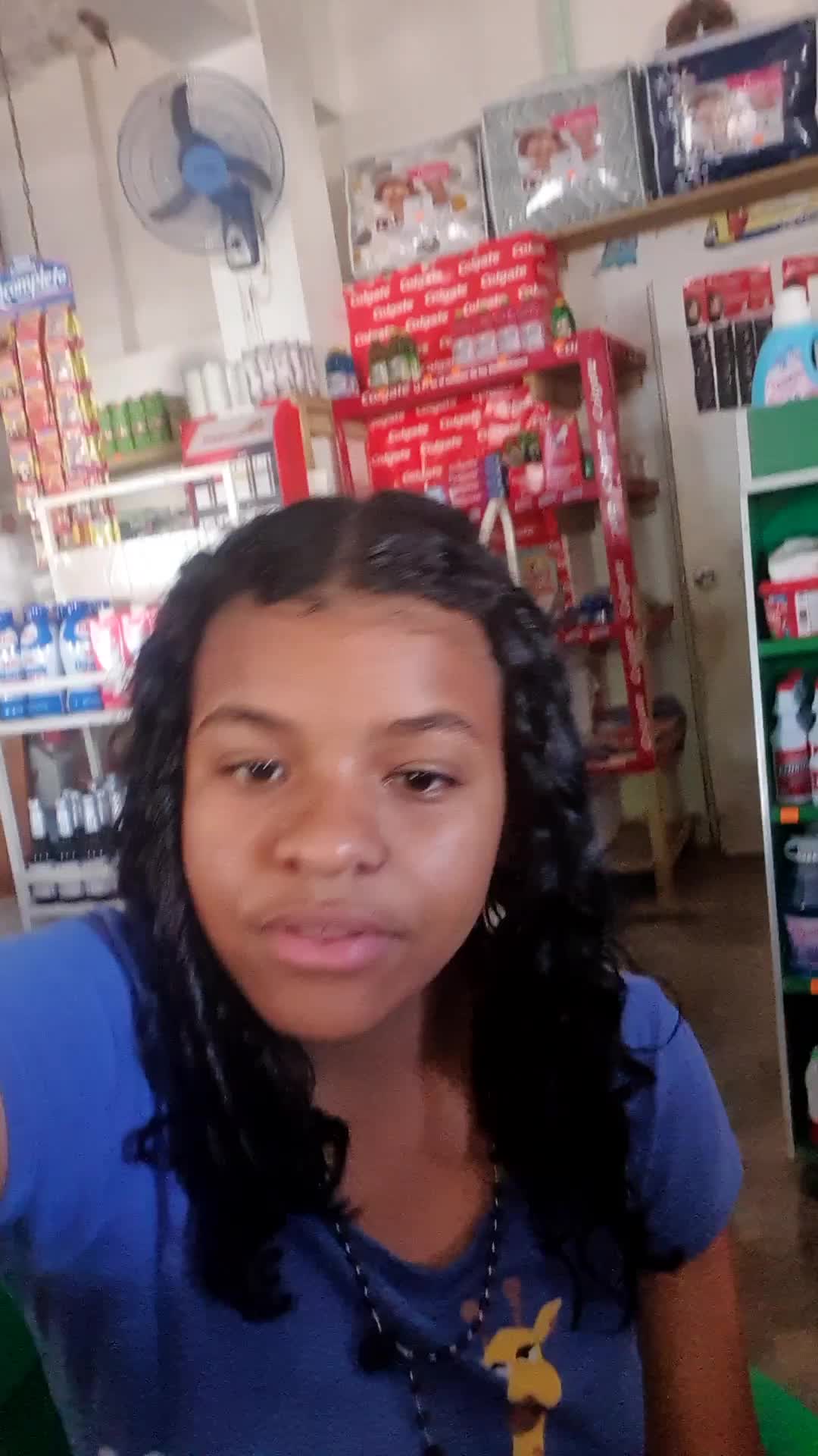 Empleada Virtual 