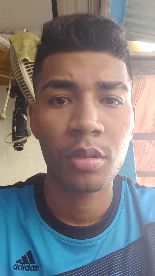 Voluntario 