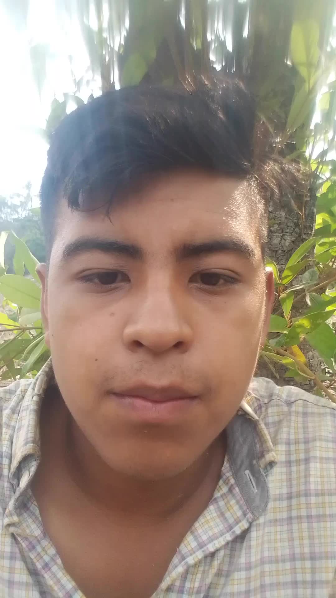 Asistente de marketing digital 