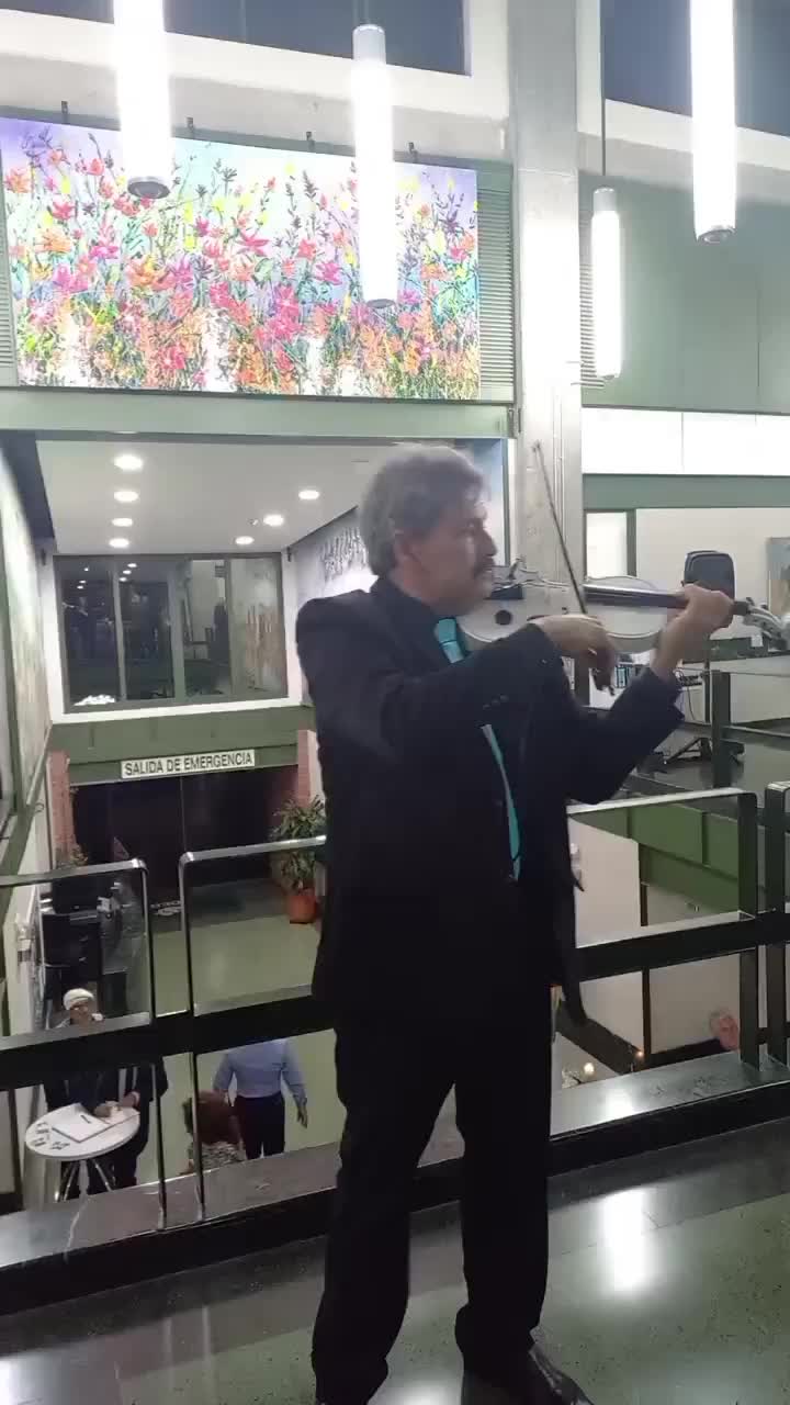 Profesor de musica, violinista