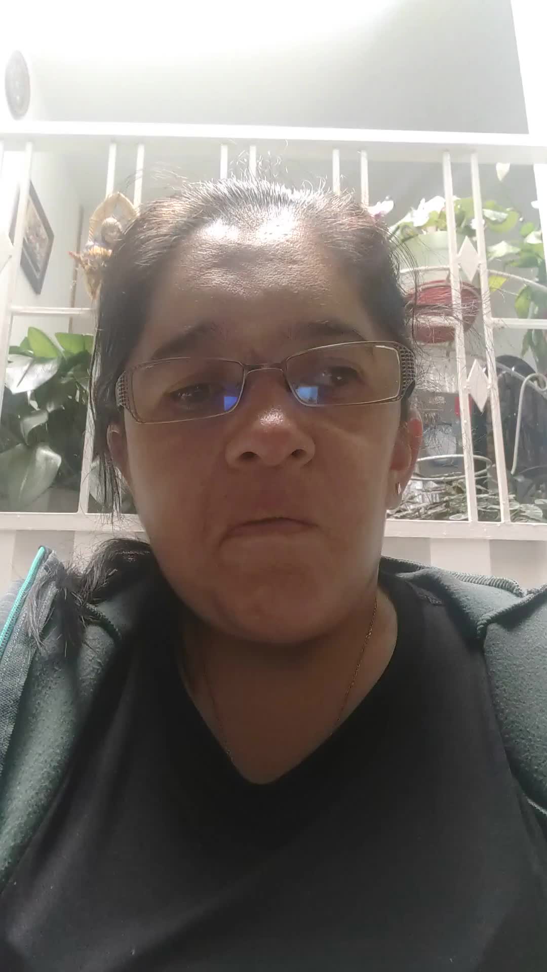Desarrollador