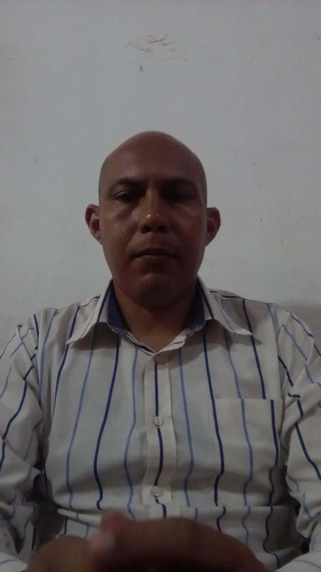 Asistente Virtual - Asesor Comercial