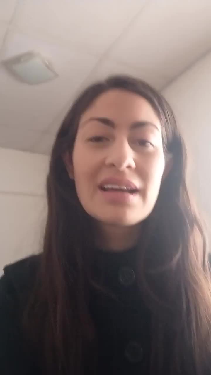 Translator/ Interpreter