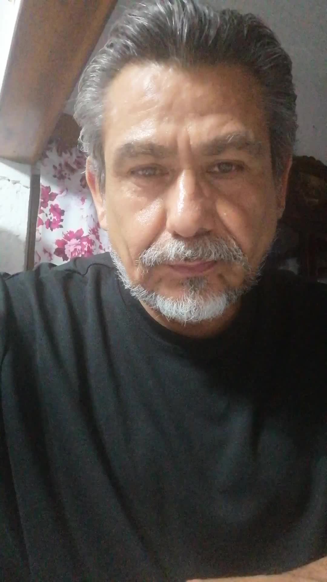 Translator