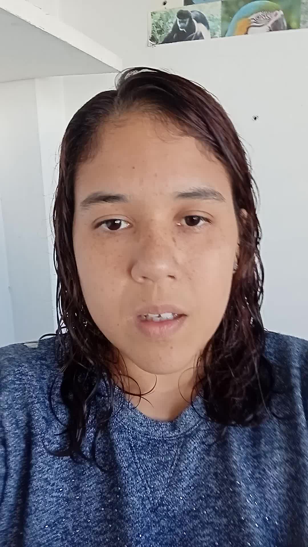 Asistente Virtual