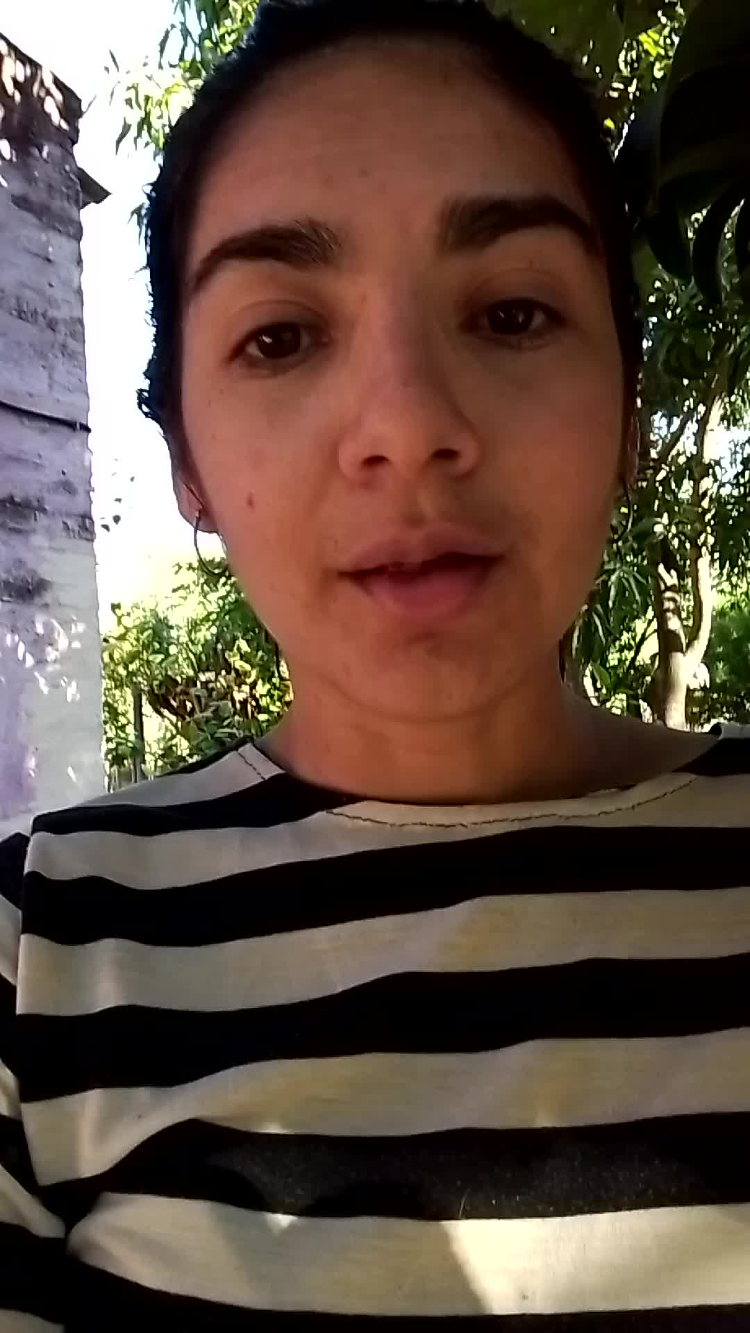 Asistente virtual 
