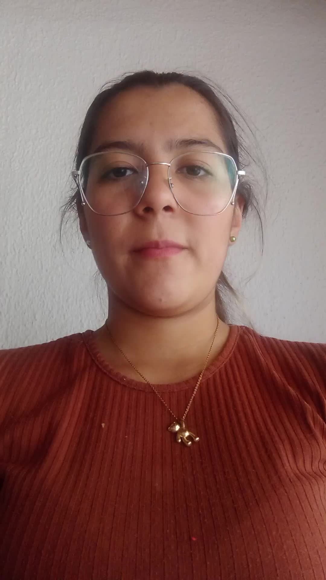 Digitador 