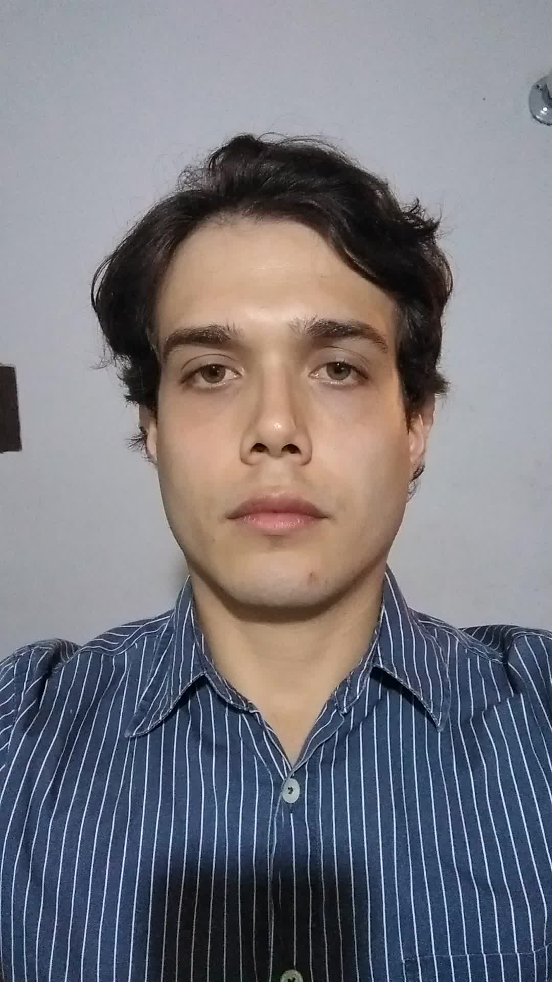desarrollador