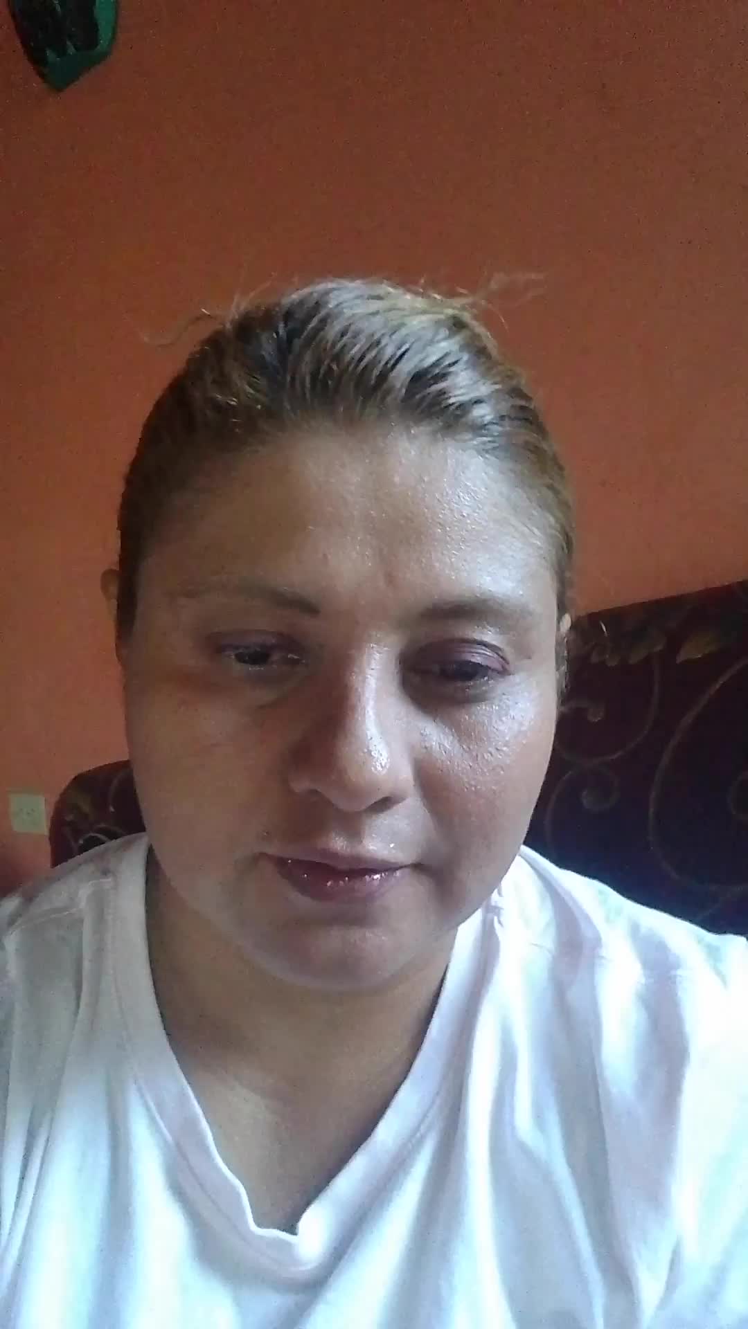 Perito mercantil y contador publico