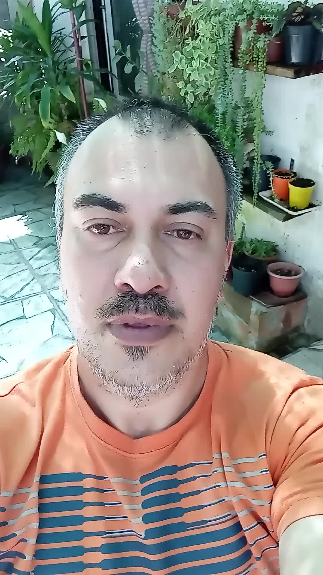 Asistente virtual 