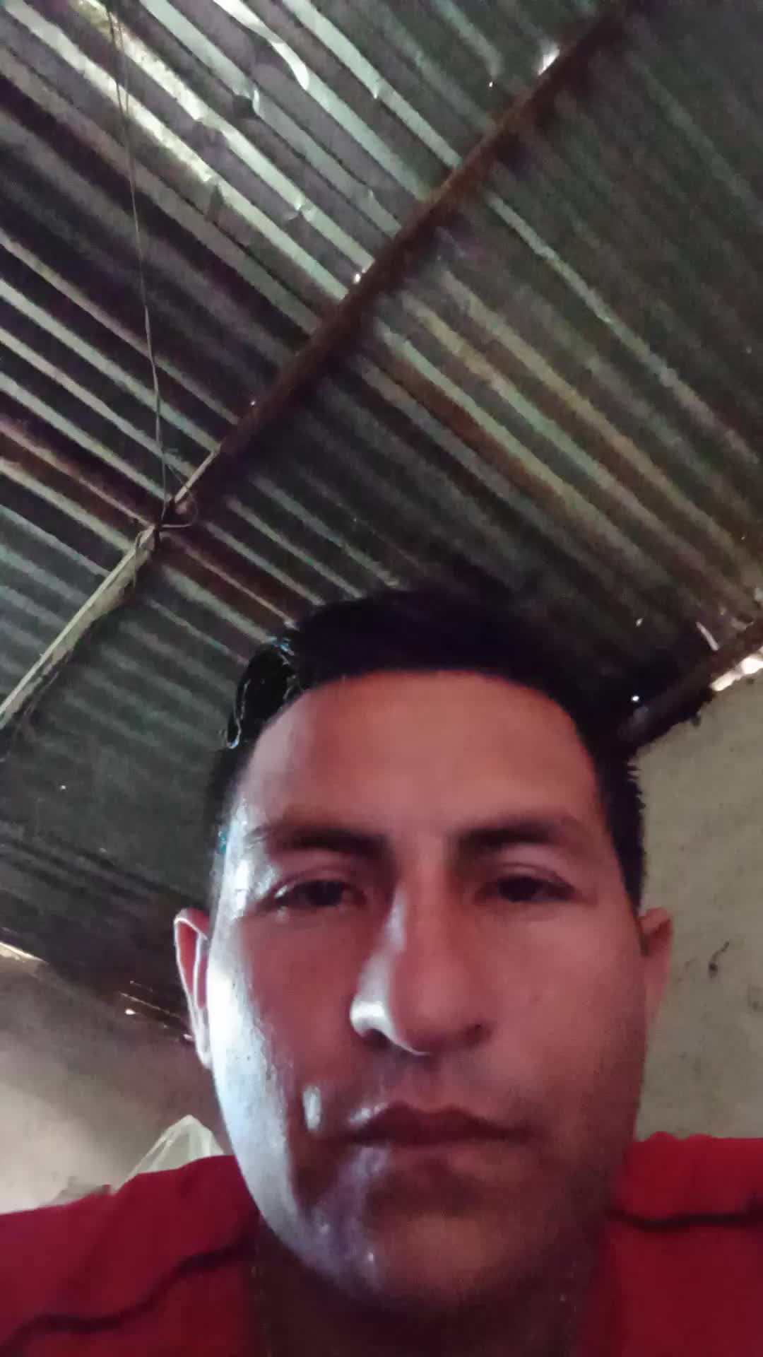 Solicito trabajo 