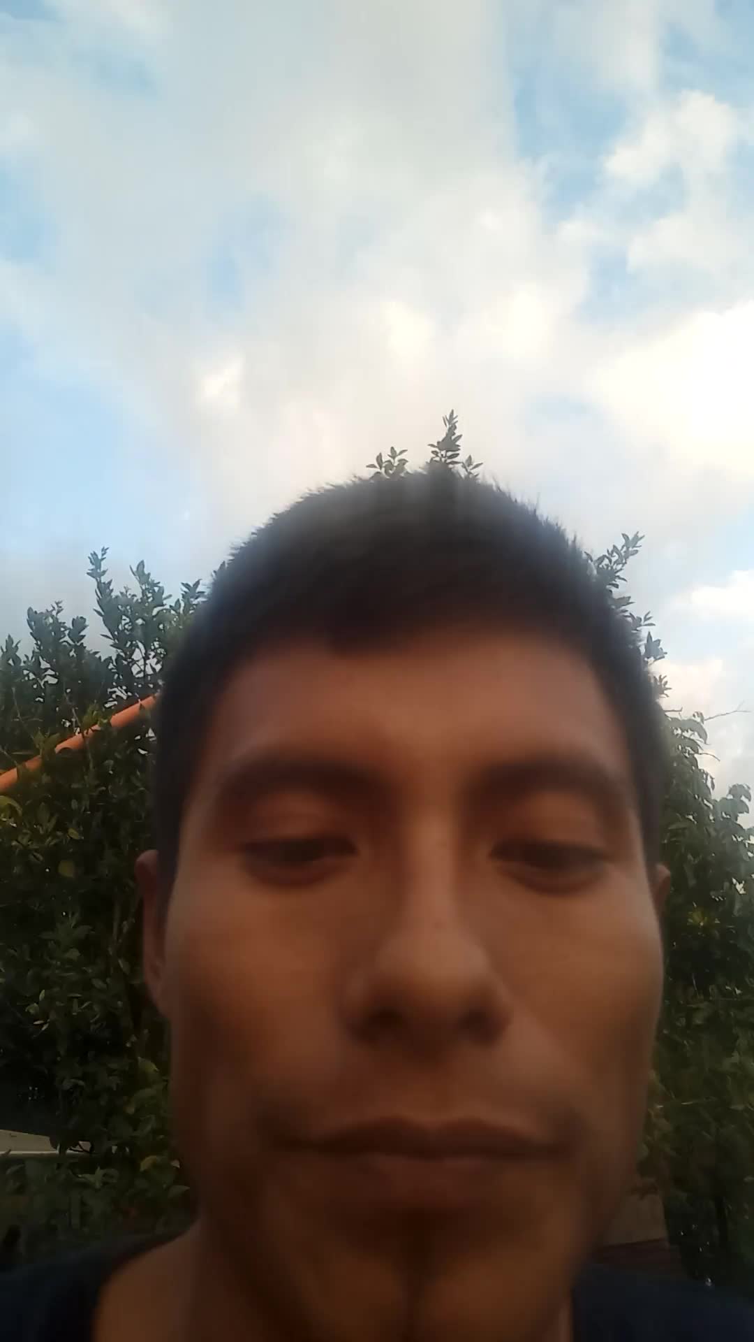 Asistente virtual 