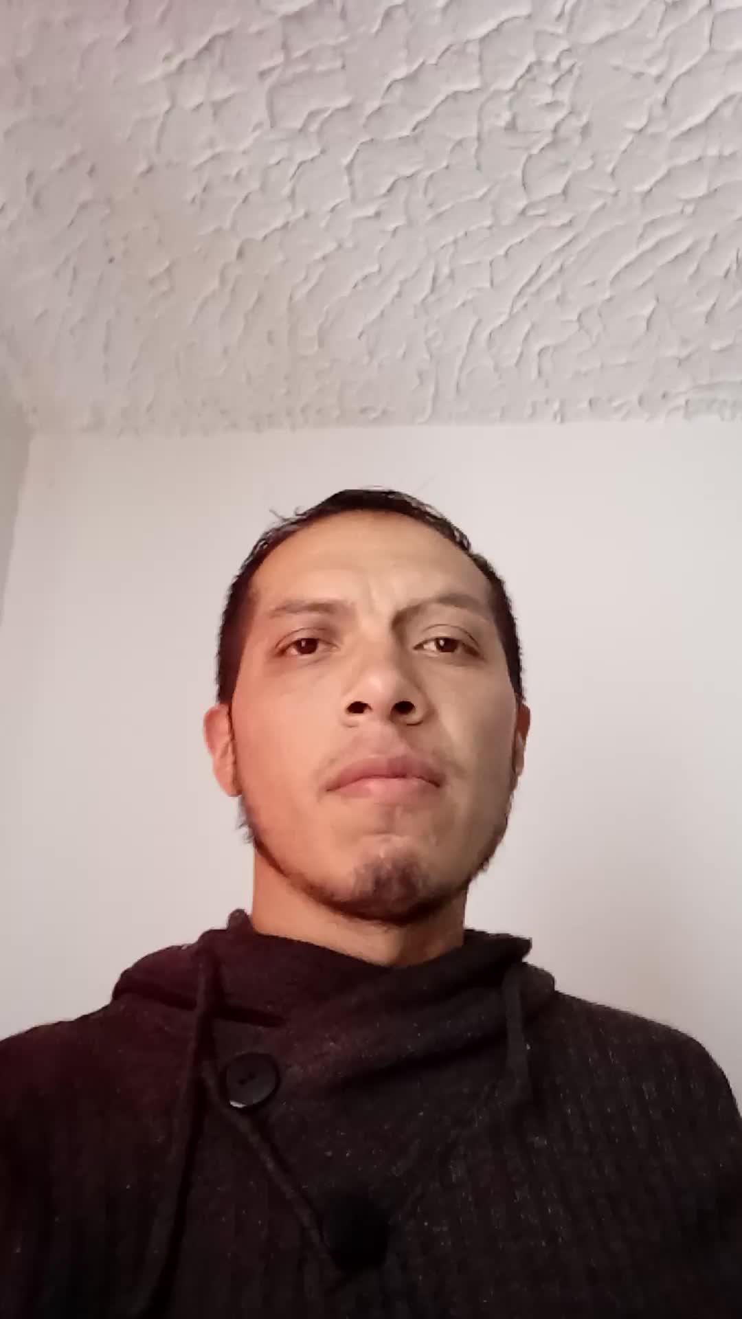 Programador