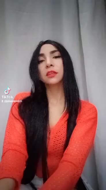 Digitador