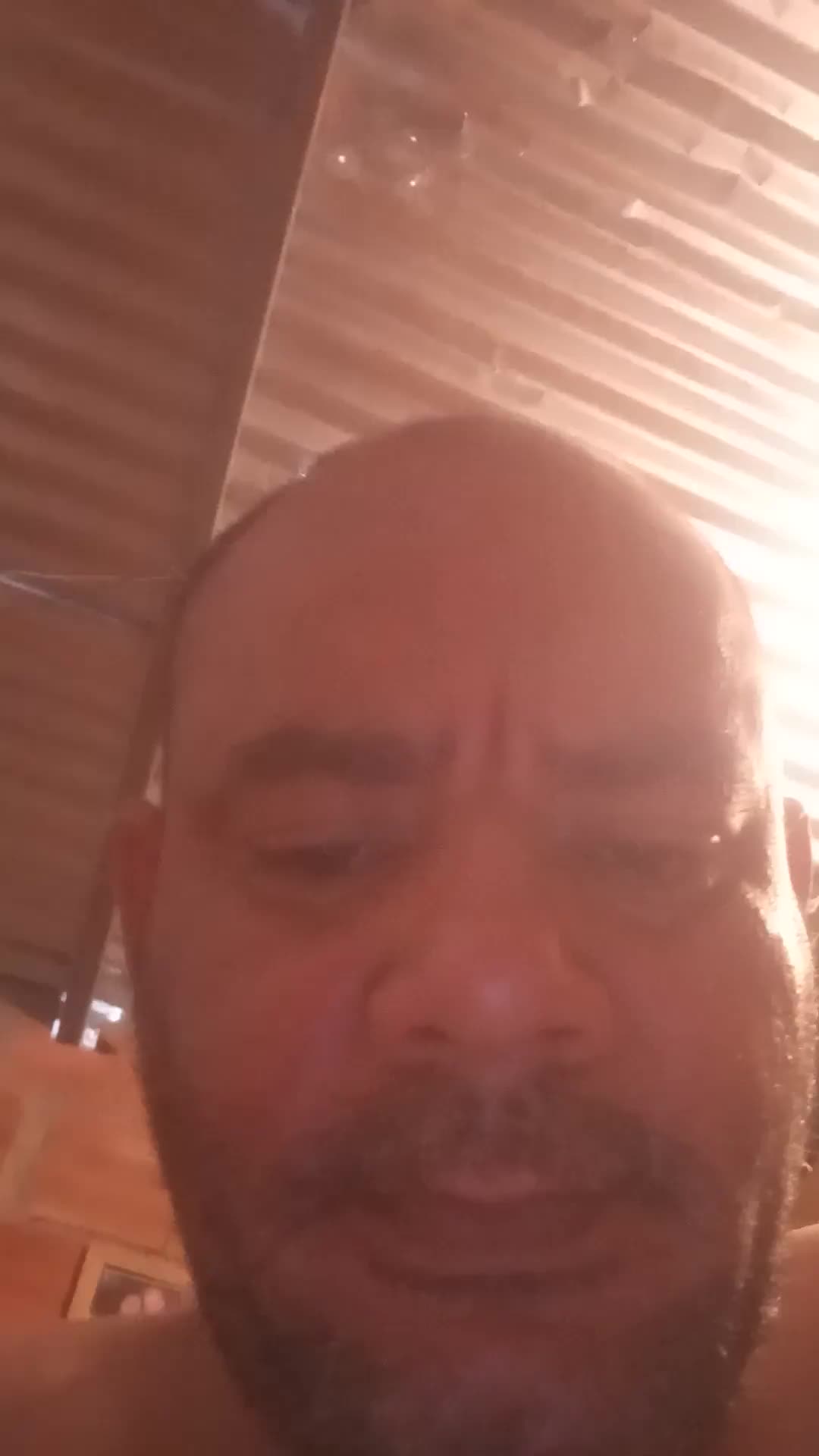 Bachicher