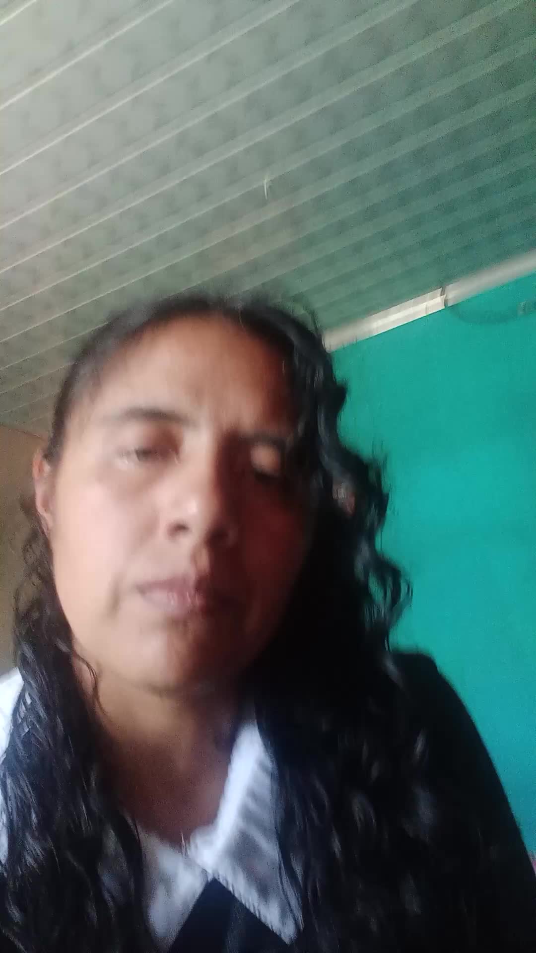 Digitador