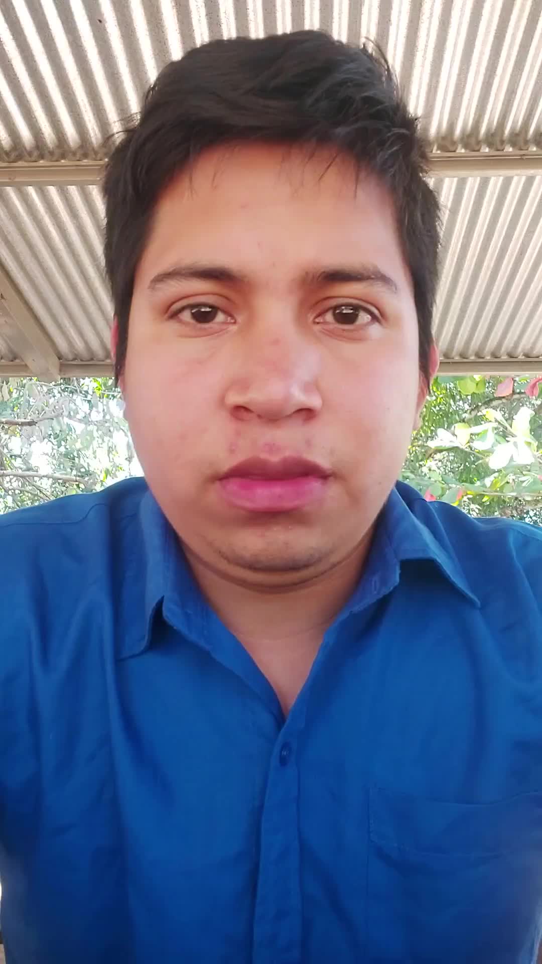 Asistente Virtual