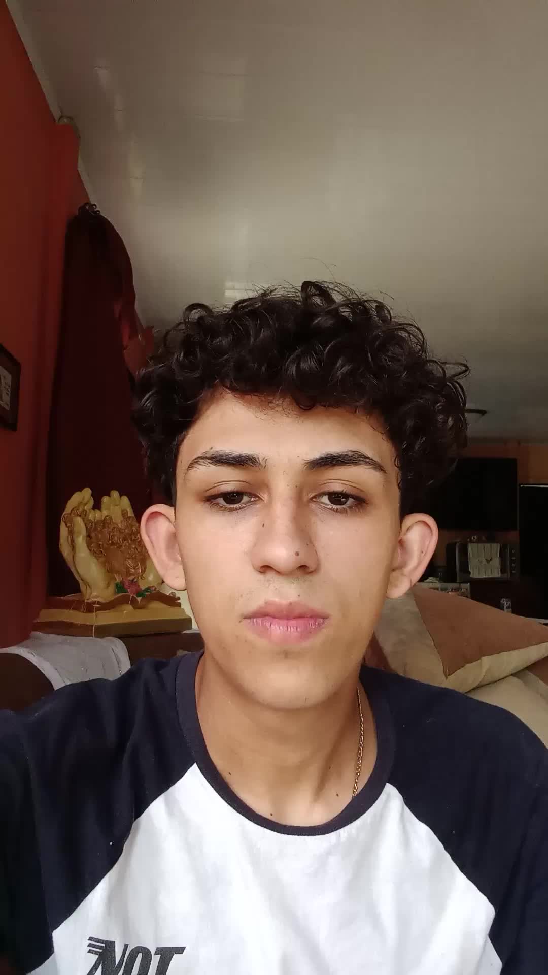 Desarrollador