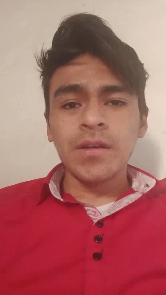 Chofer 