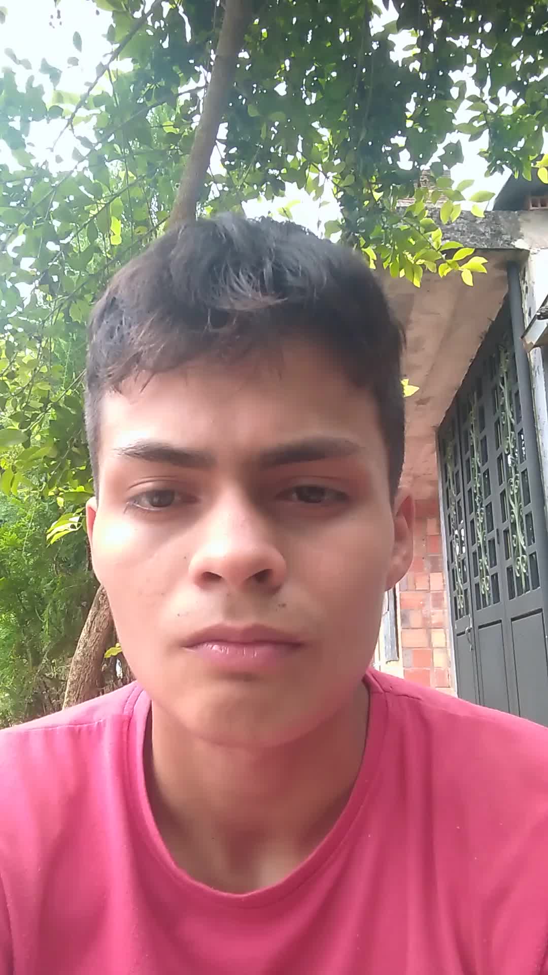 Auxiliar de bodega o empacador. 