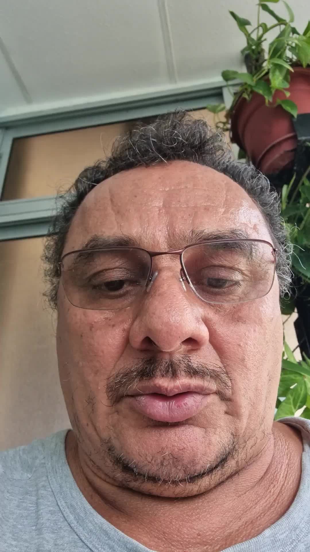 Contador Publico