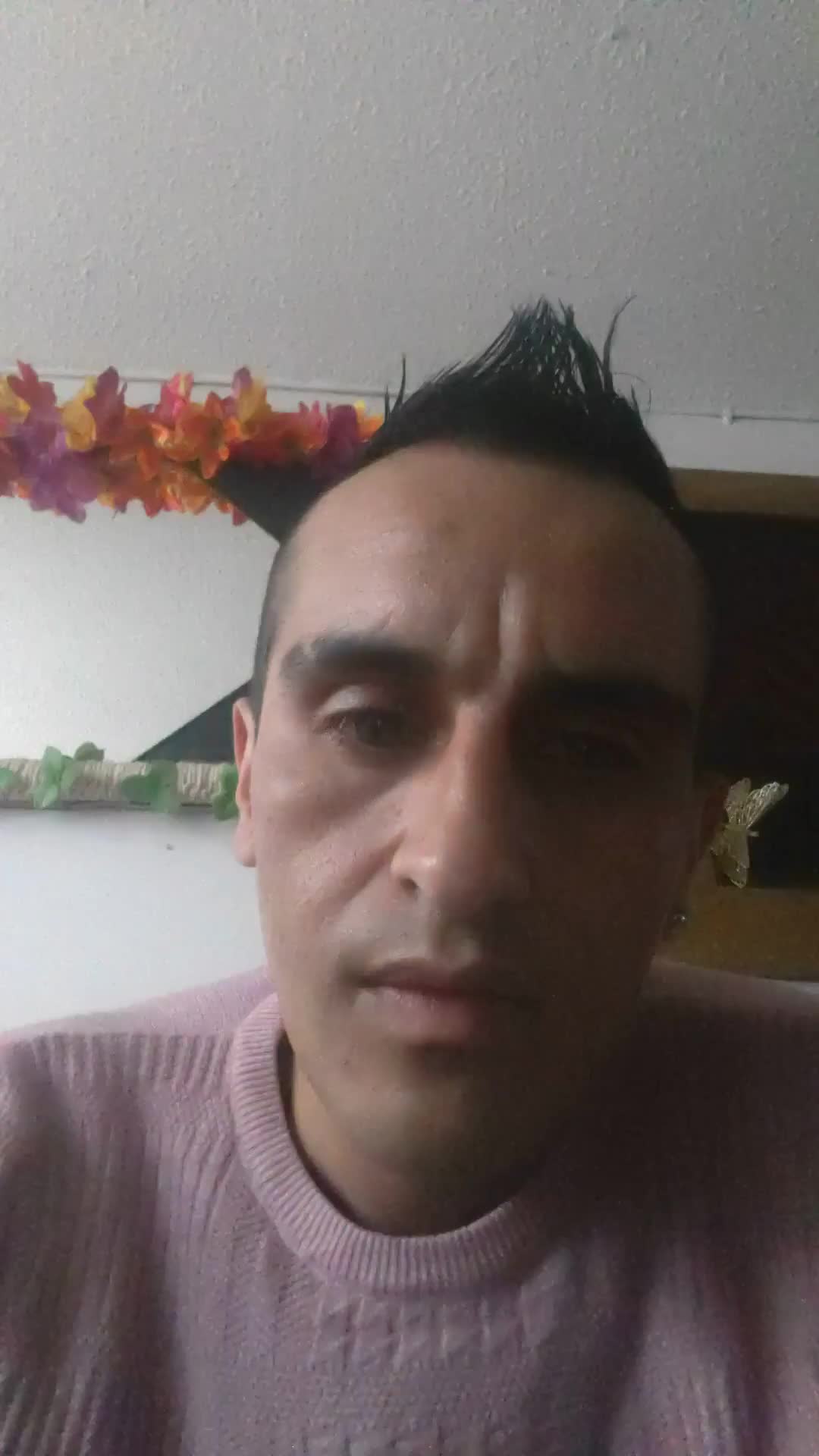 Digitador