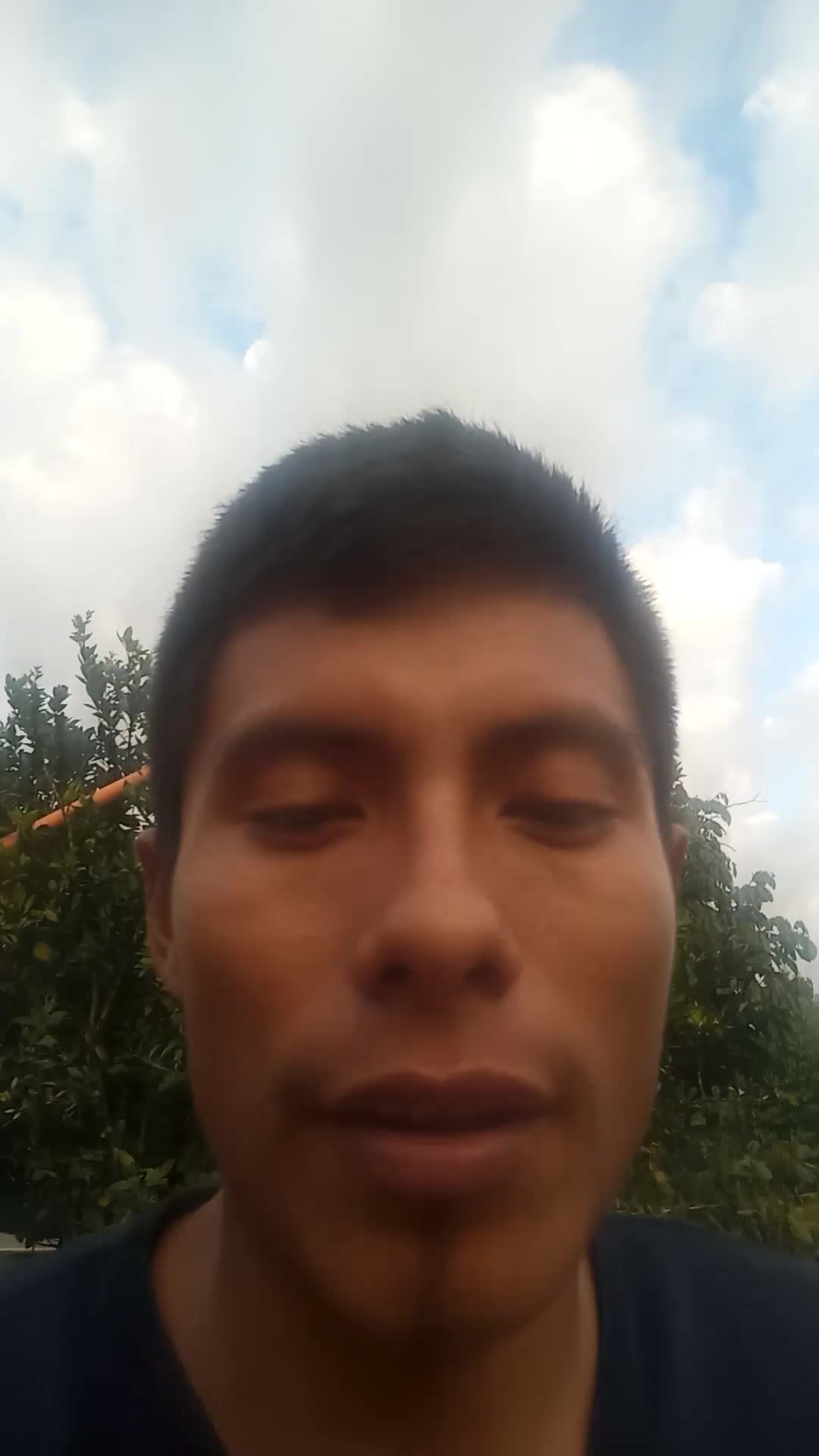 Asistente virtual 
