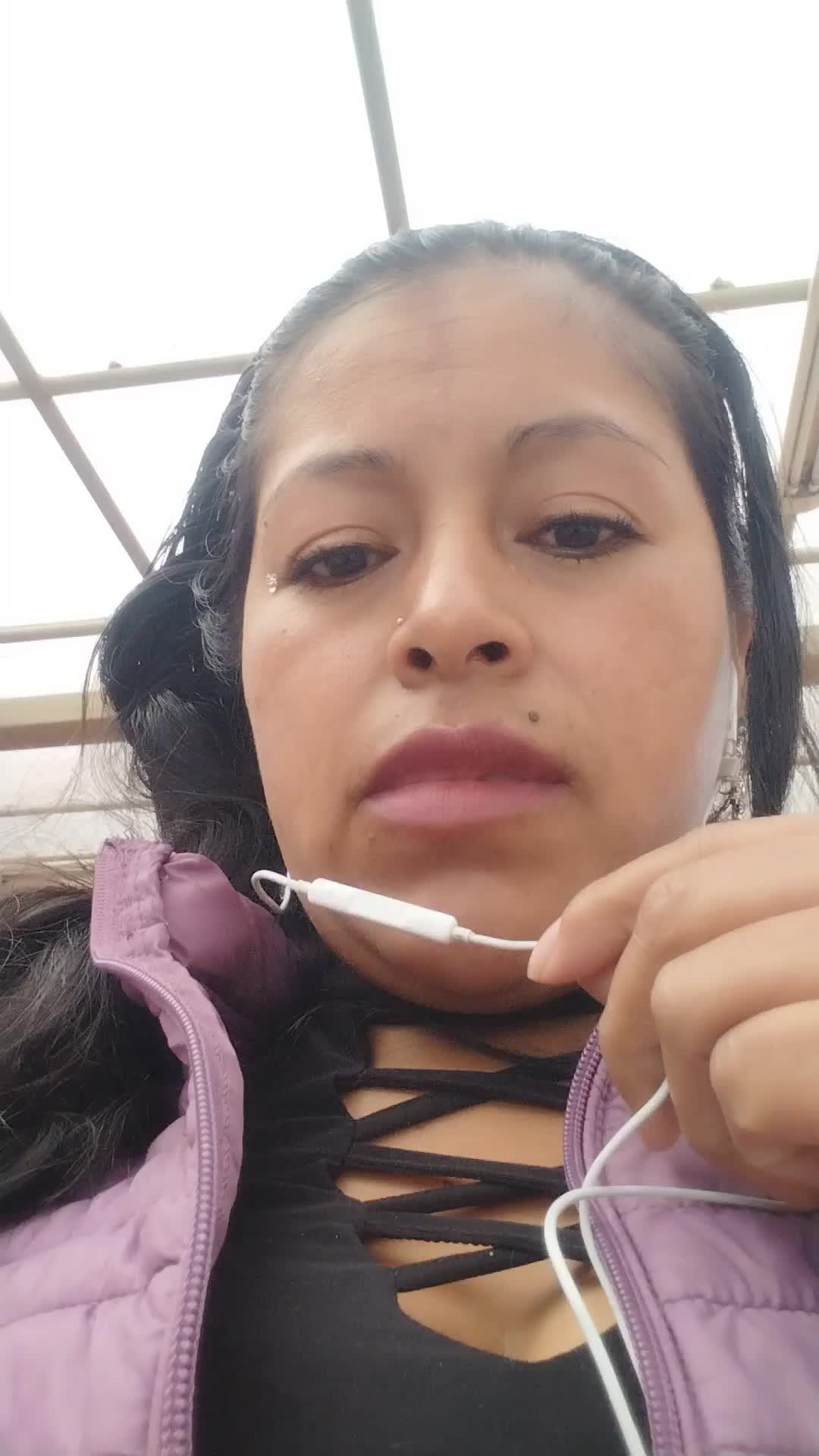 Asistente Contable 
