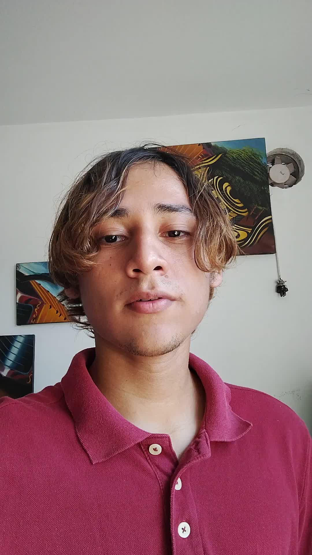 Programador junior