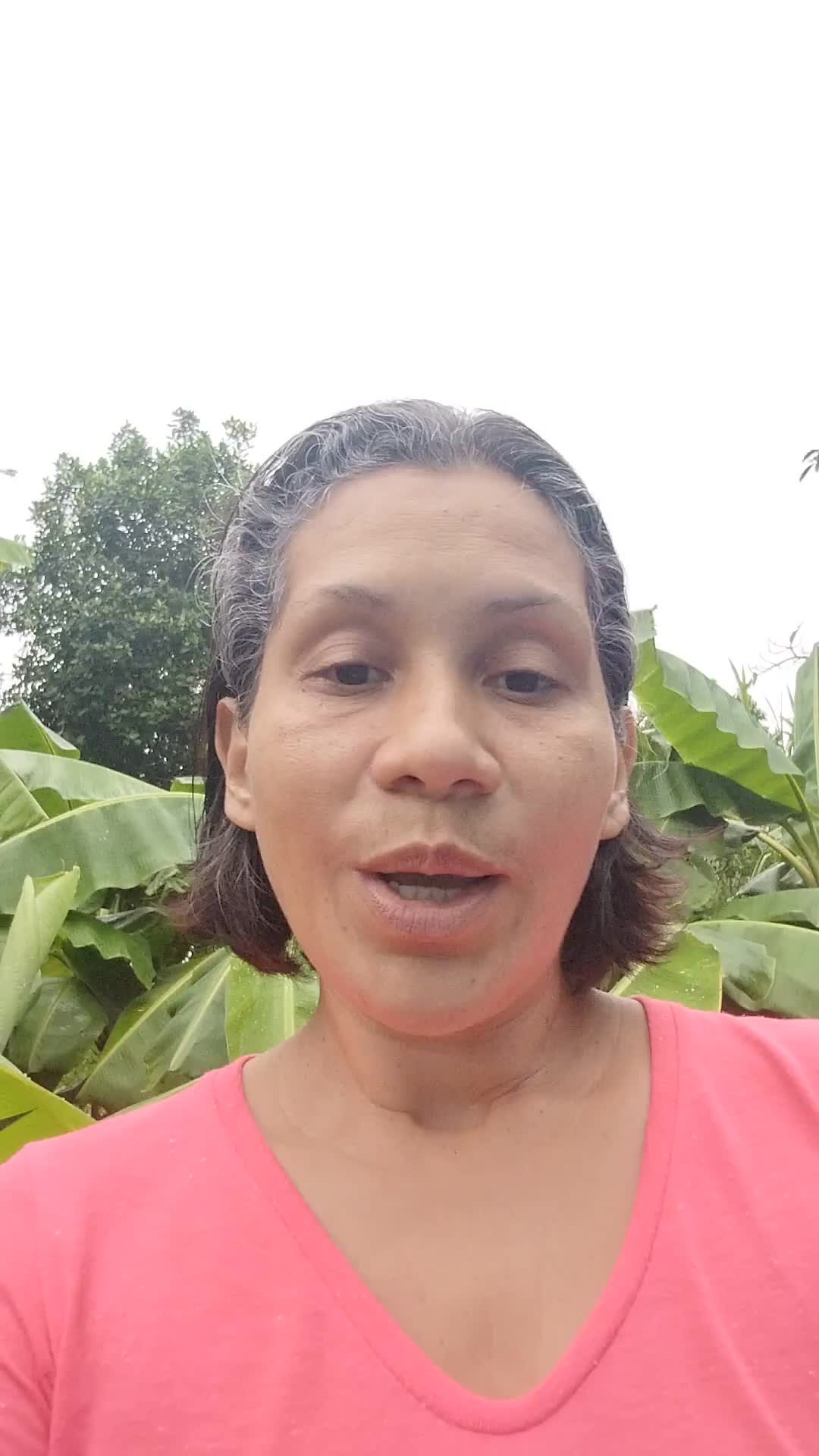 Asistente virtual 
