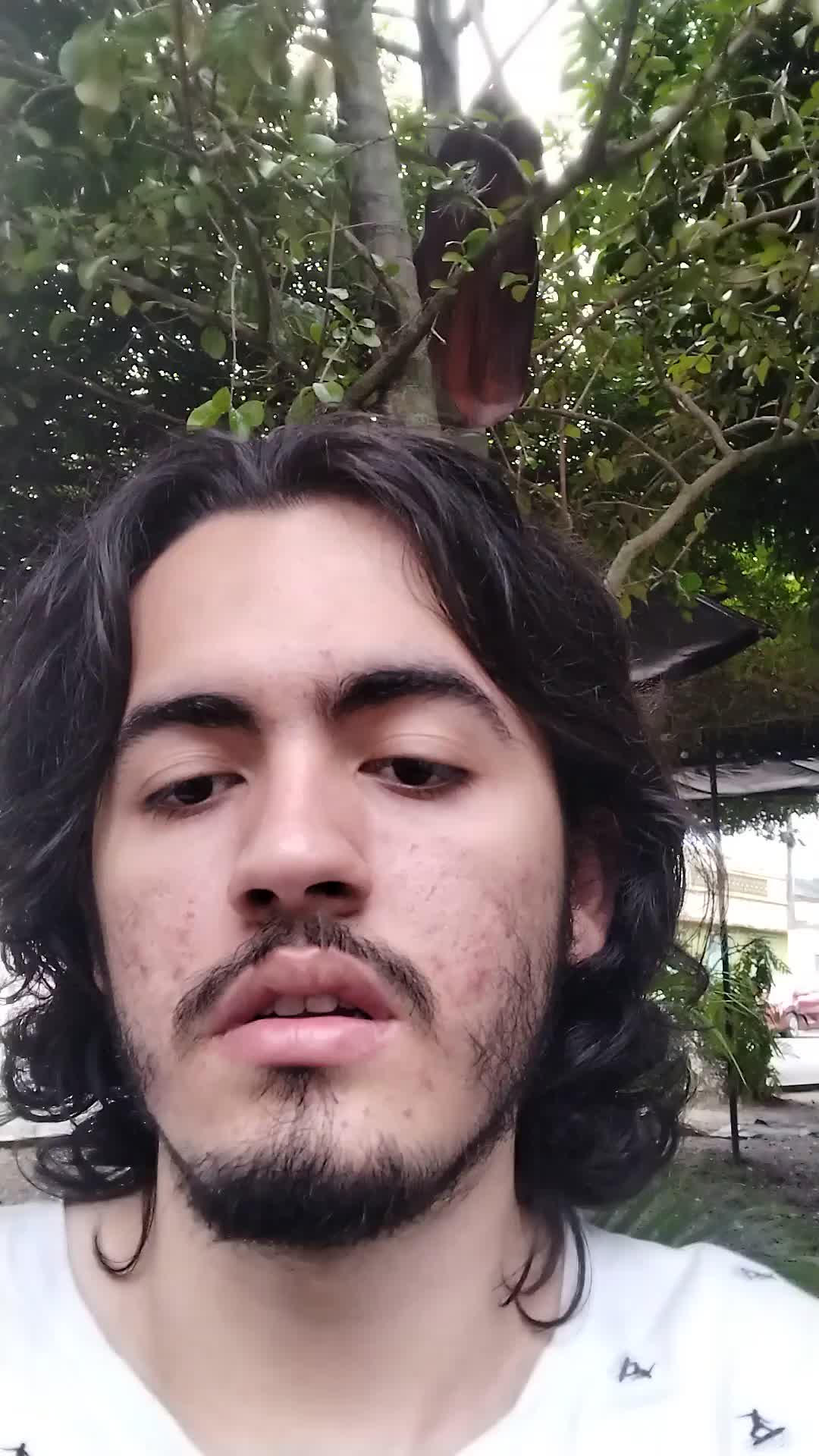 Asistente Virtual 