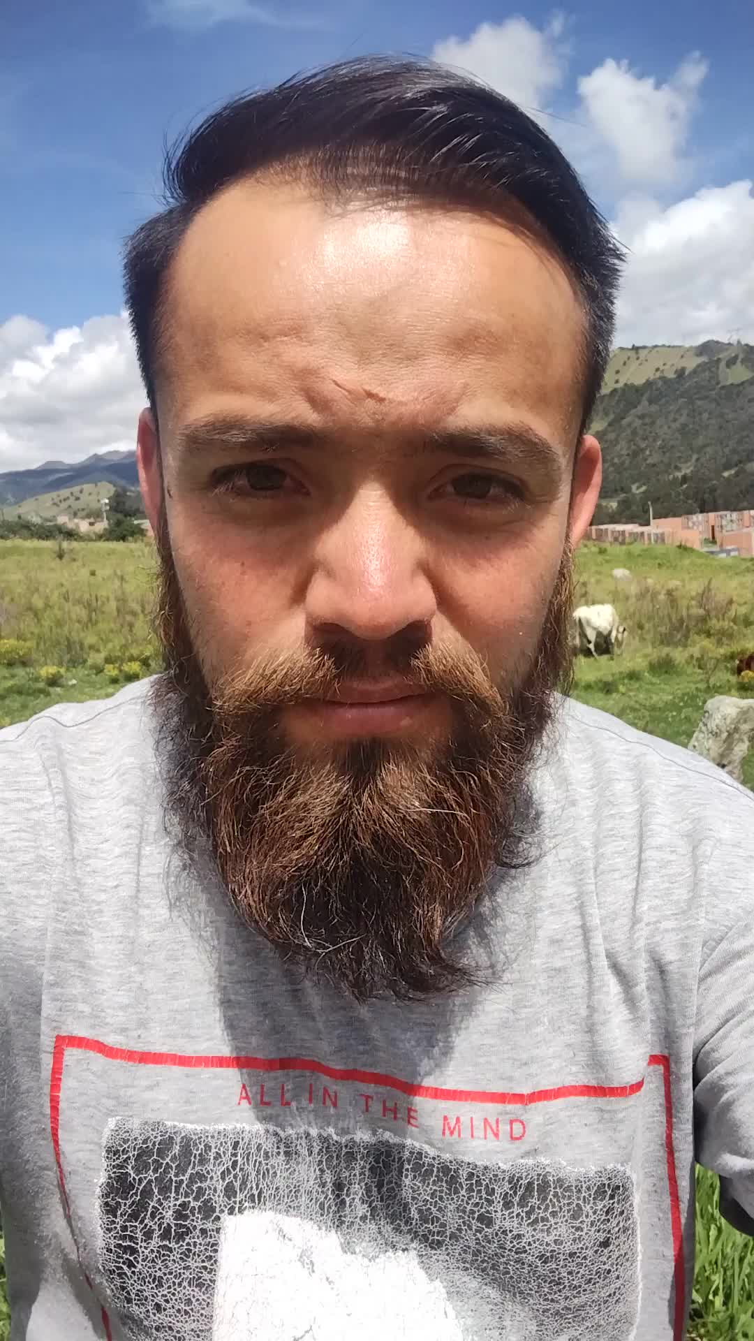 Asesor de servicio al cliente