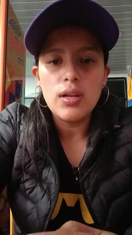 Técnico en inglés basico,sistema