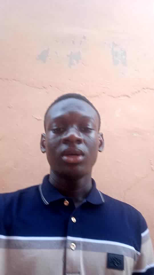 Website developer 