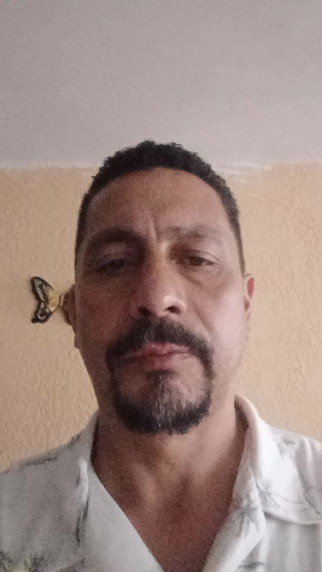 Apolo'scurrículum 