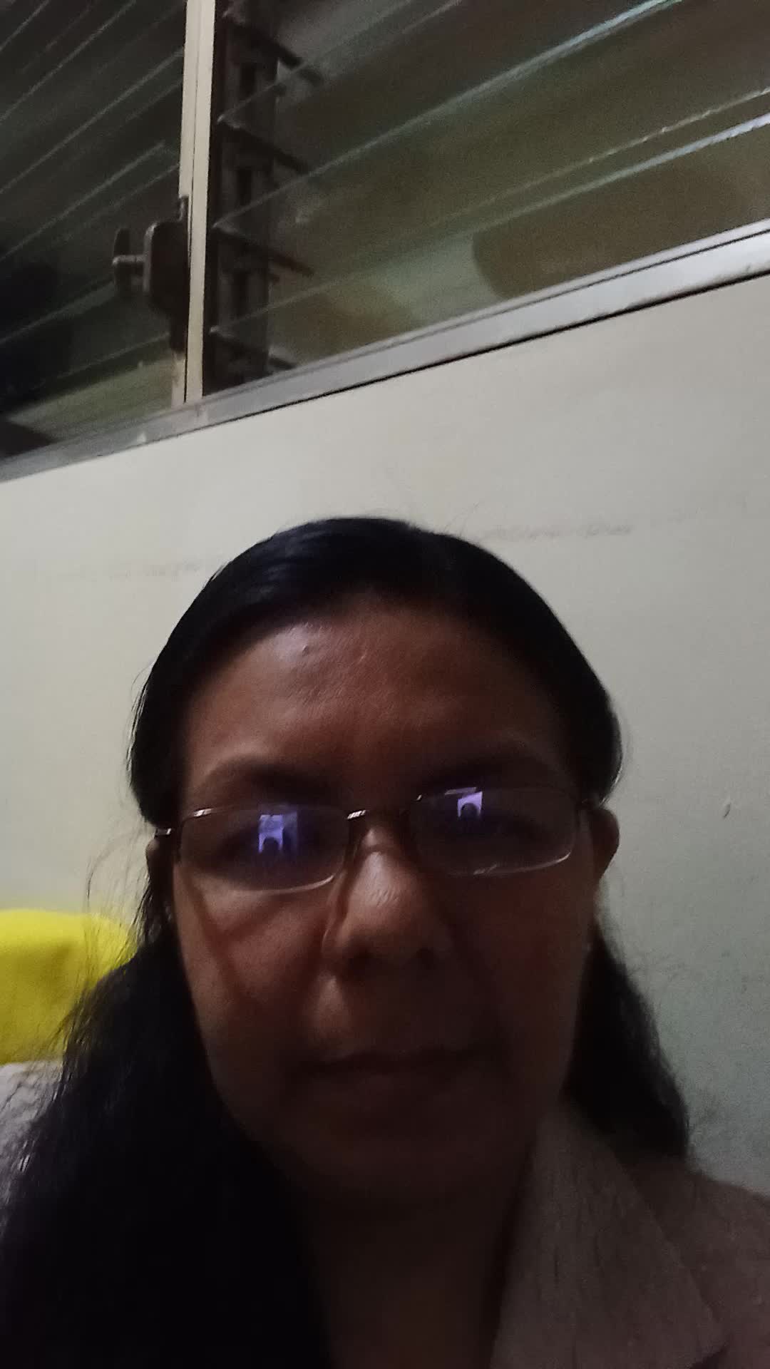 Cv Erika Lopez