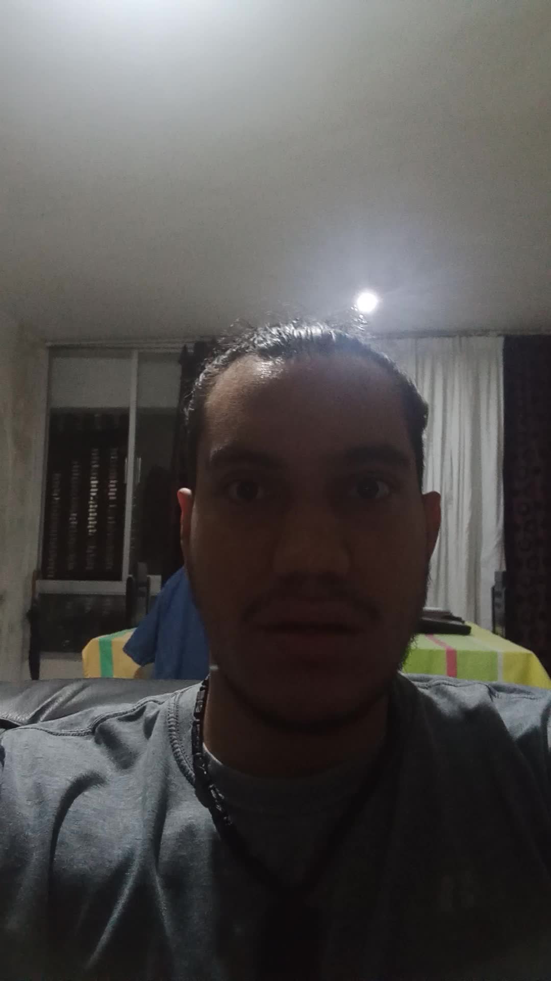 Traductor 