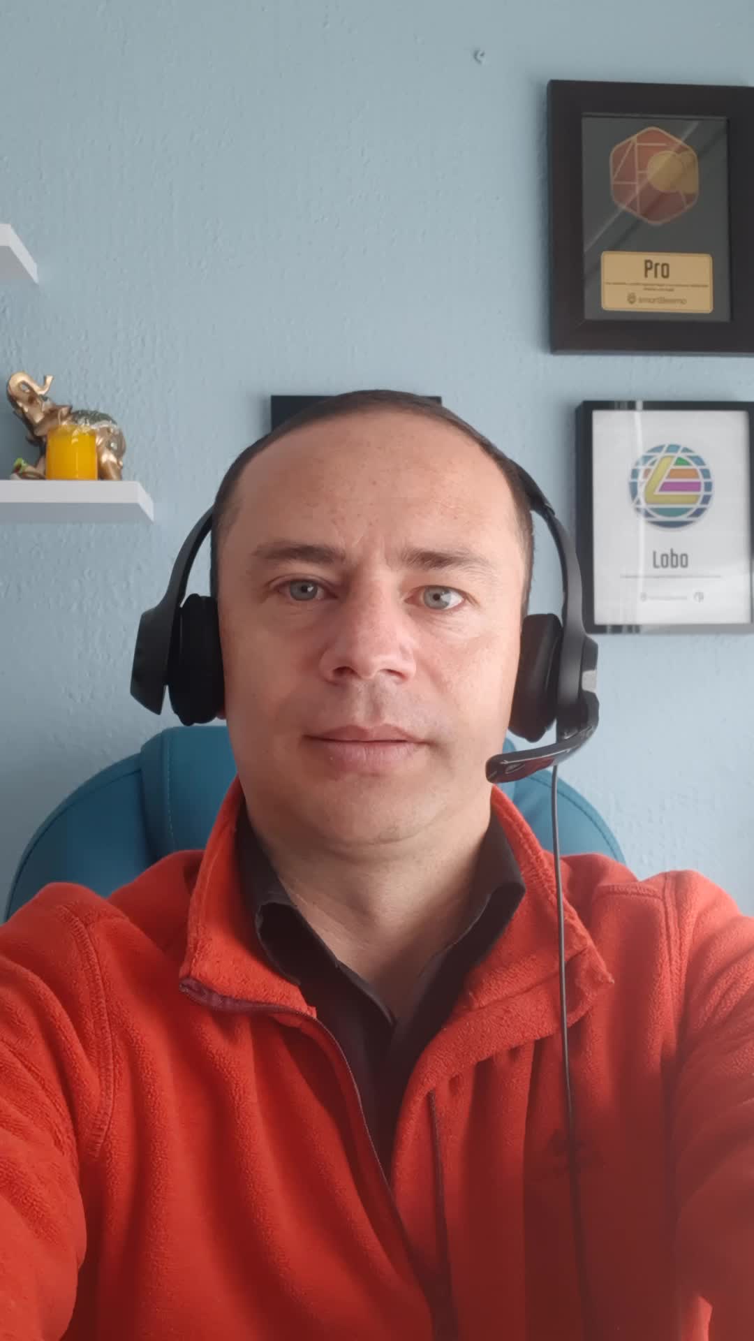 Asesor de servicio al cliente