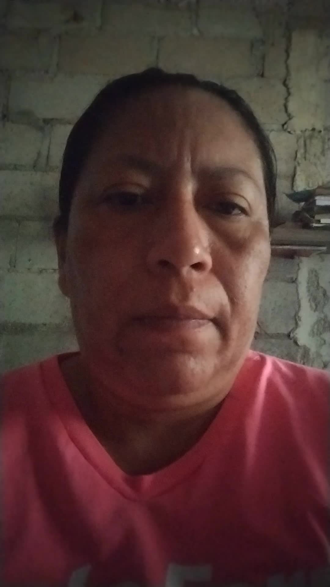 Docente 