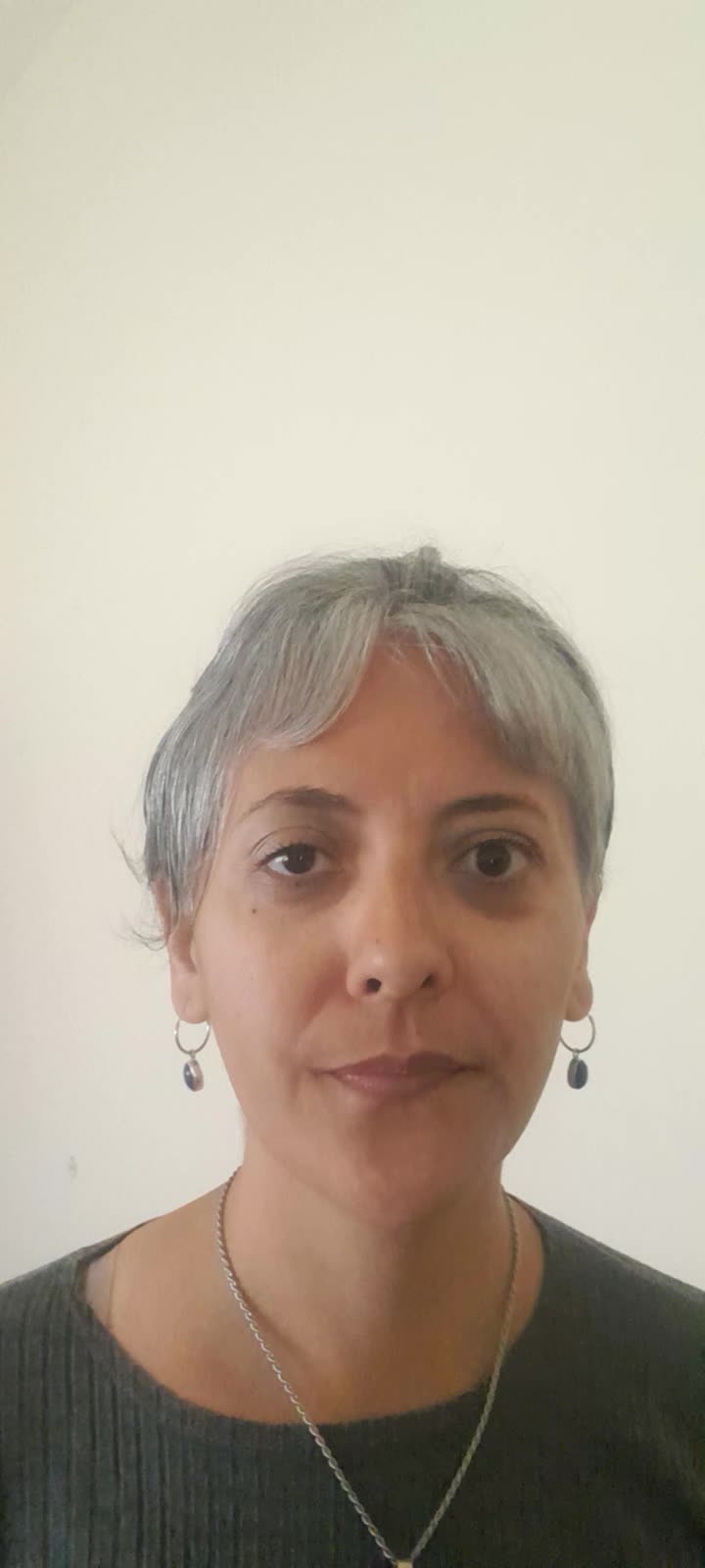 English-spanish Interpreter