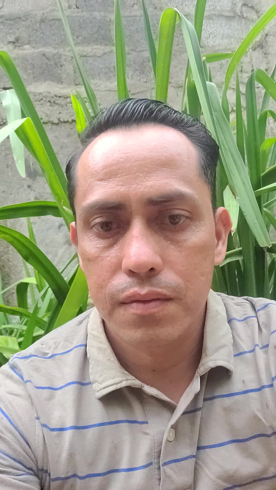 Asesor 