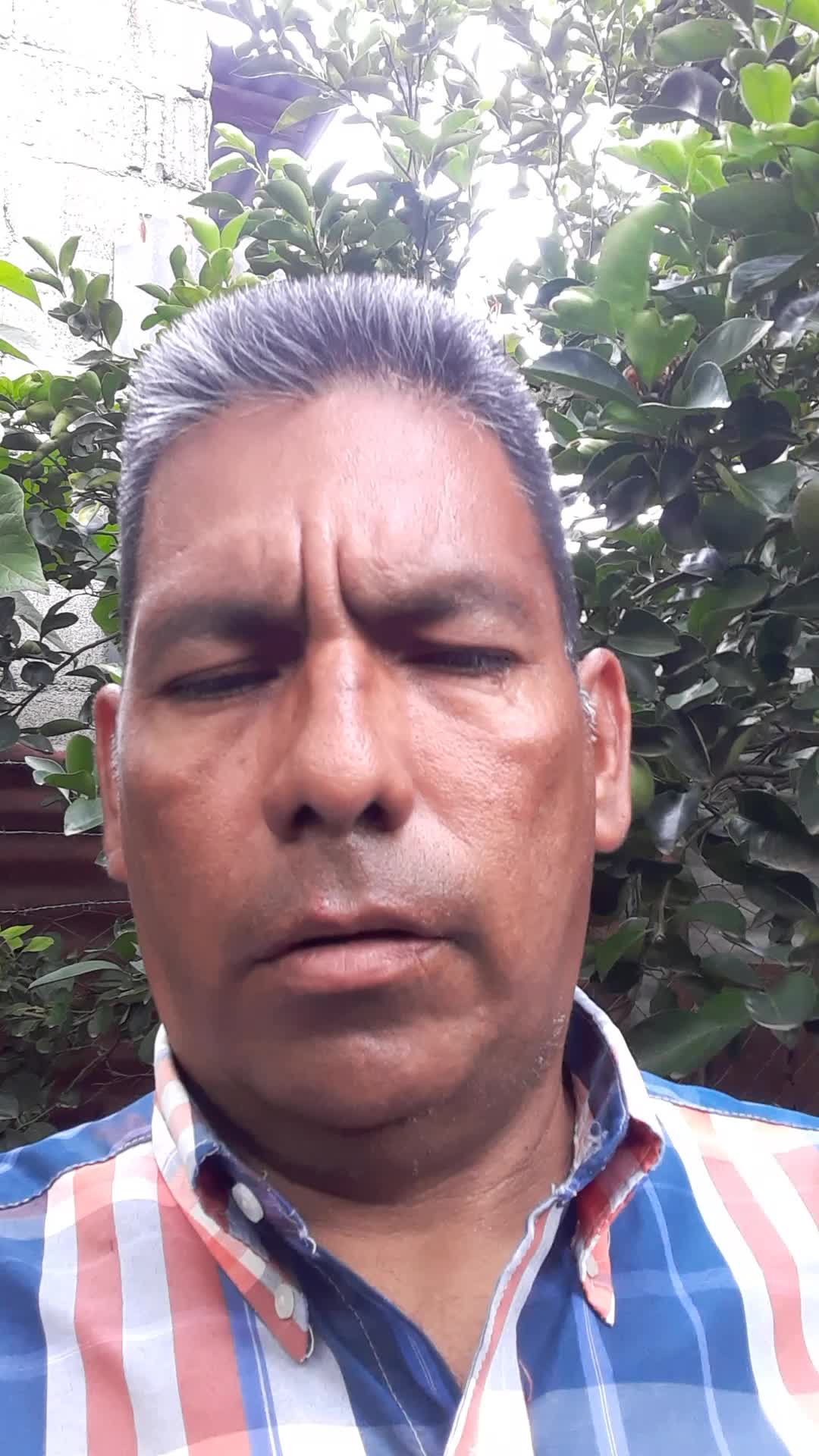 Asistente de atención al cliente 