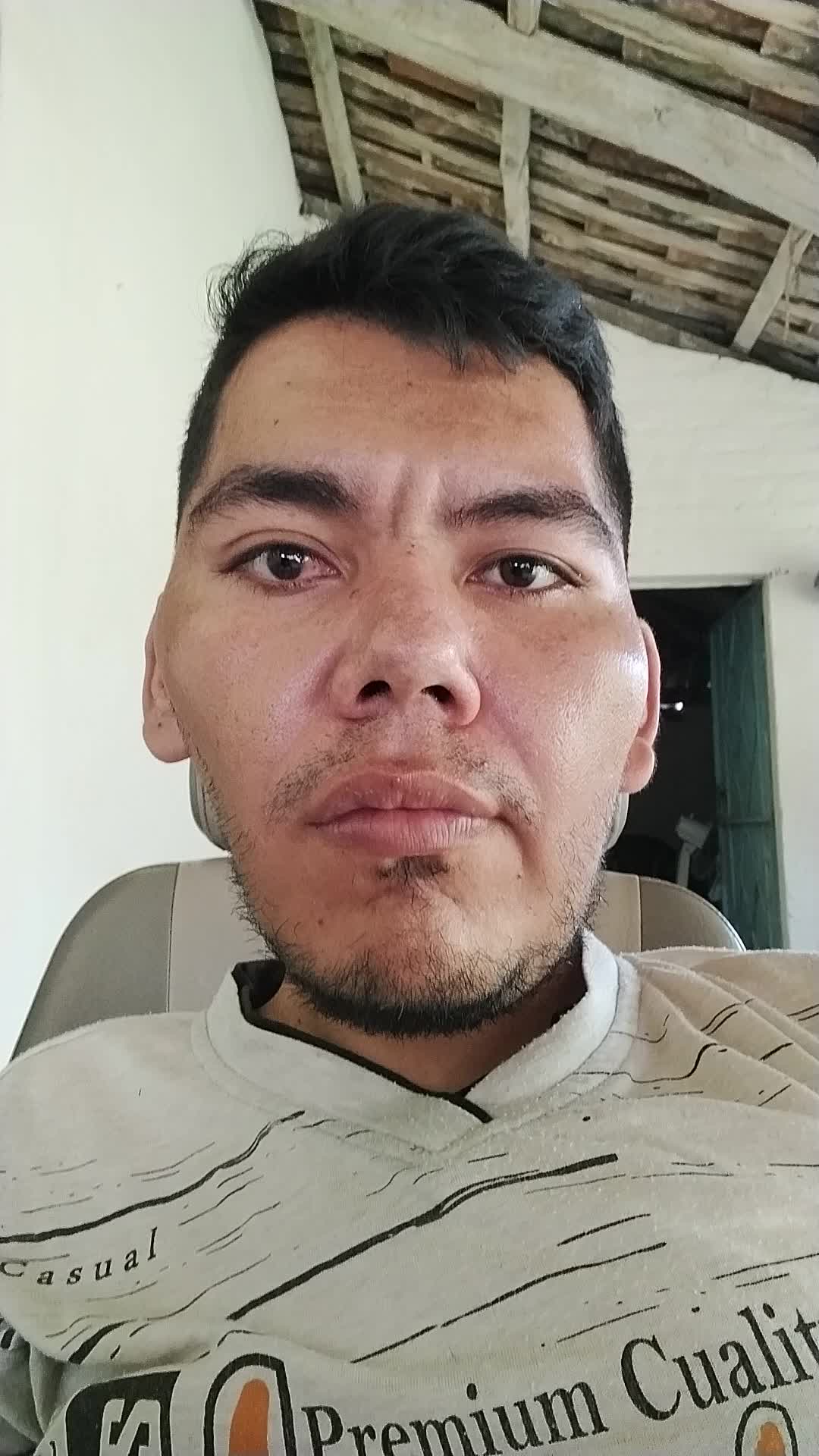 Asistente Virtual