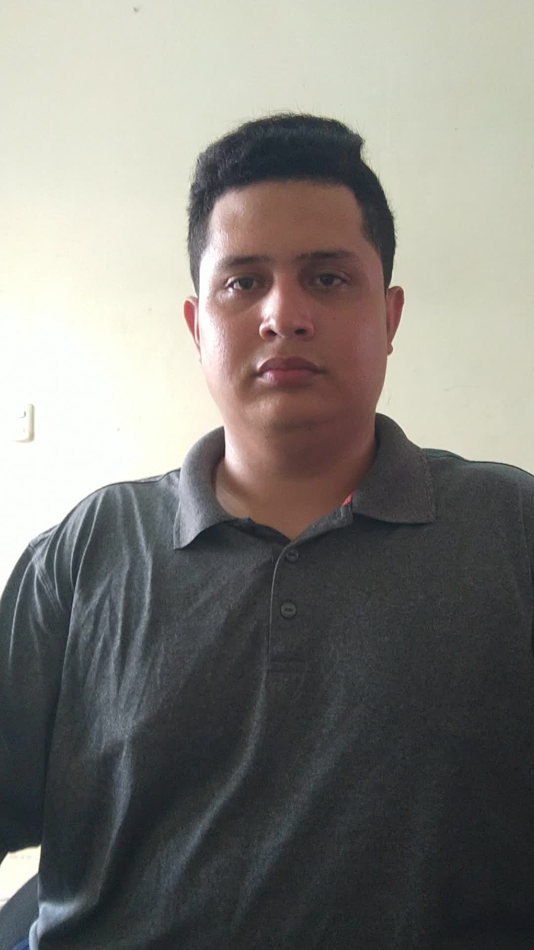 Ingeniero en sistema 