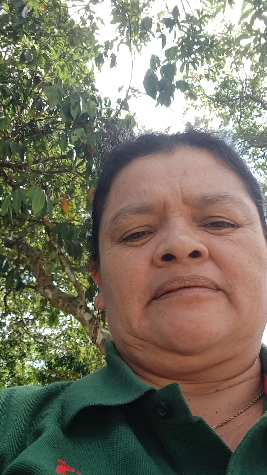 Técnico en salud ambiental 