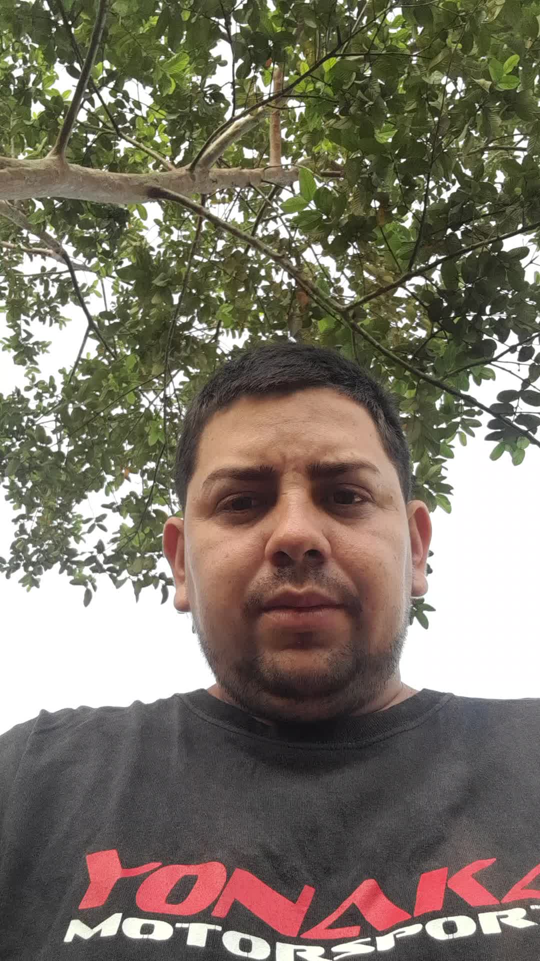 Mensajeria 