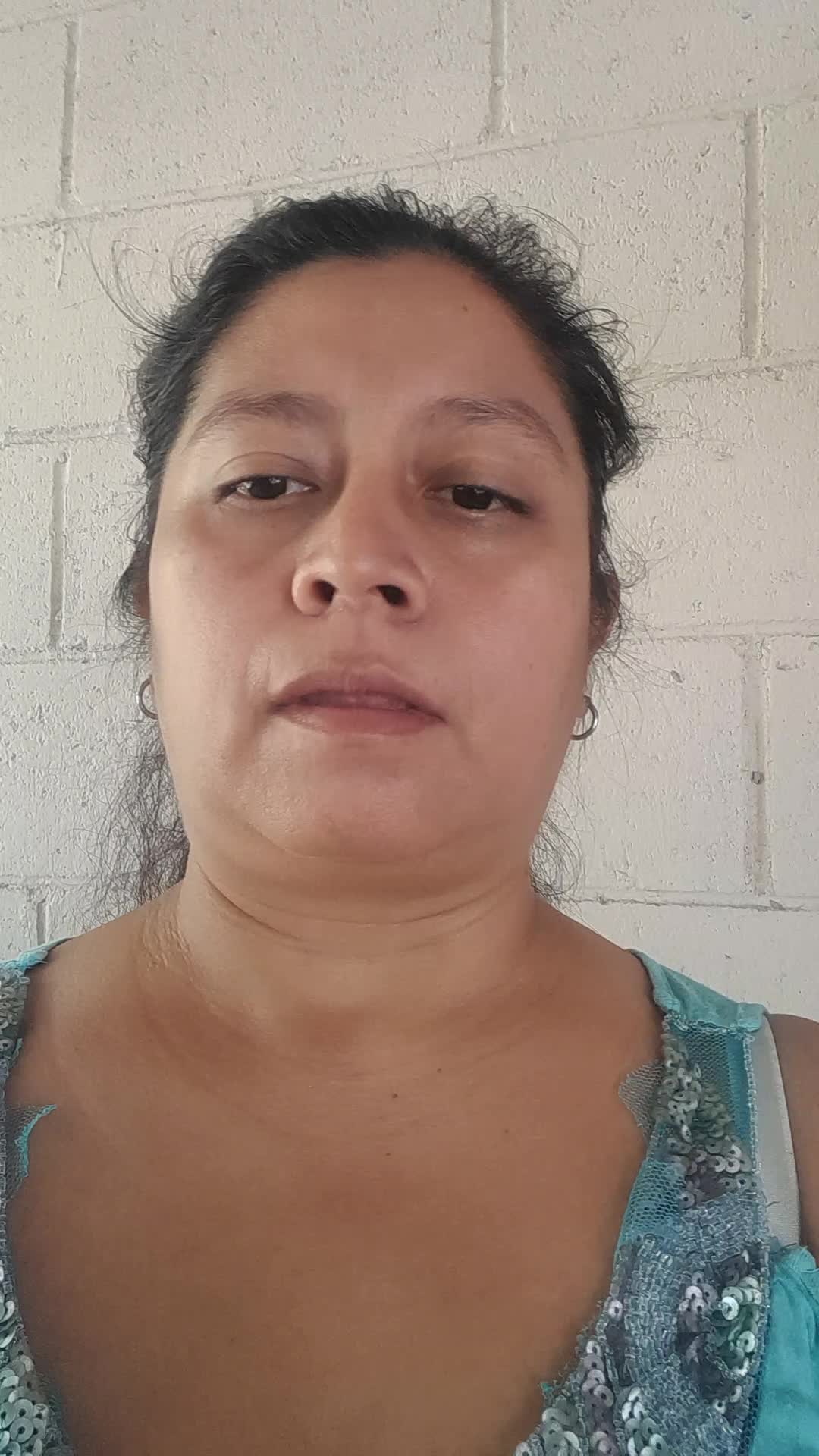 Asistente vi6