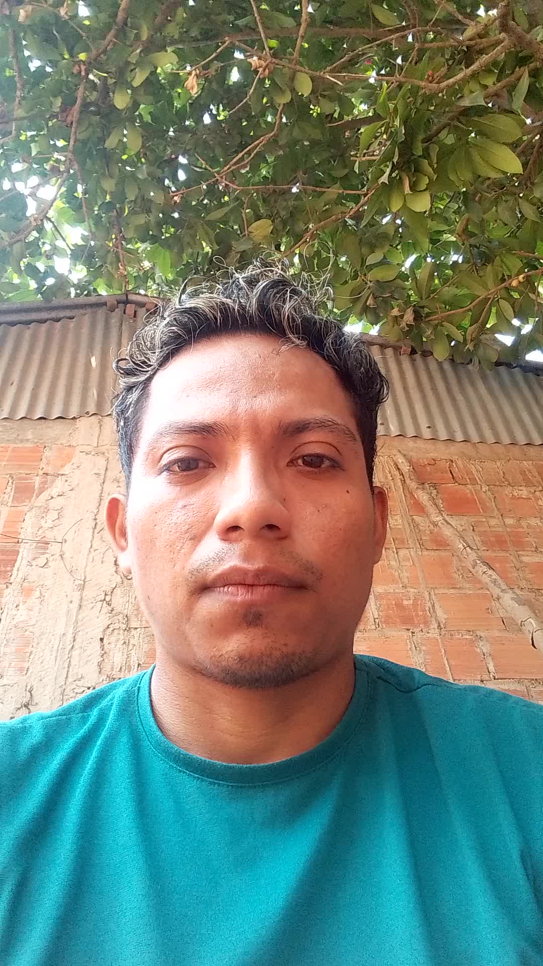 Asistente virtual 