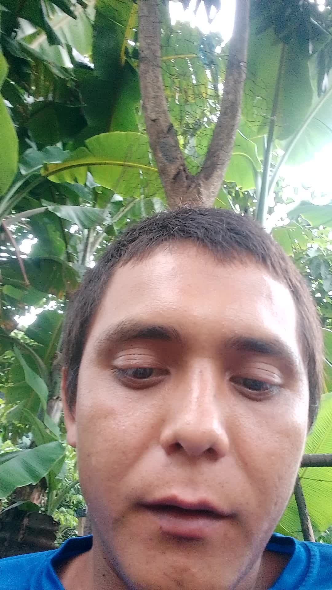 Travajo virtual